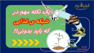 تحلیل سوالات آزمون تیزهوشان علوم ۱۴۰۱-۱۴۰۲