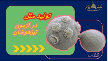 پاسخ تشریحی آزمون تیزهوشان علوم ۱۴۰۱-۱۴۰۲